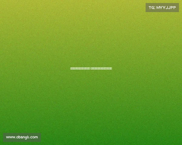 德甲战术演变与球队风格解析 探讨德国足球的进攻与防守平衡